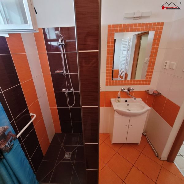 Rodinný dům 3+1, dvůr, hosp. objekt,  CP 210 m², k pronájmu #8