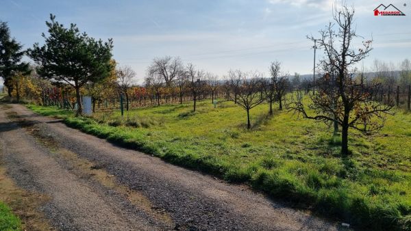 Stavební pozemek k rekreační výstavbě,  838 m² #0