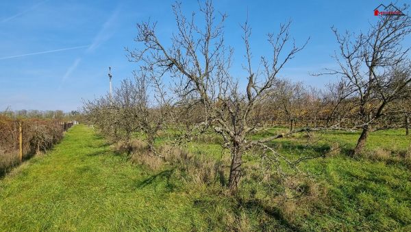 Stavební pozemek k rekreační výstavbě,  838 m² #1