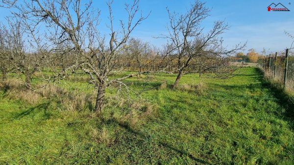 Stavební pozemek k rekreační výstavbě,  838 m² #2