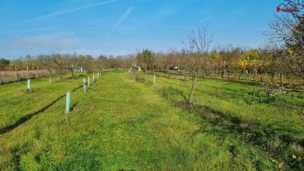 Stavební pozemek  k rekreační výstavbě,  1131 m² #1