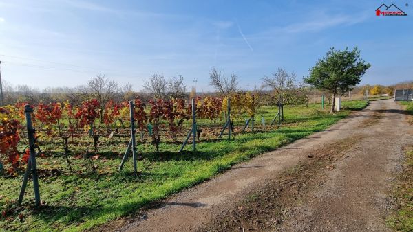 Stavební pozemek k rekreační výstavbě,  1251 m² #0