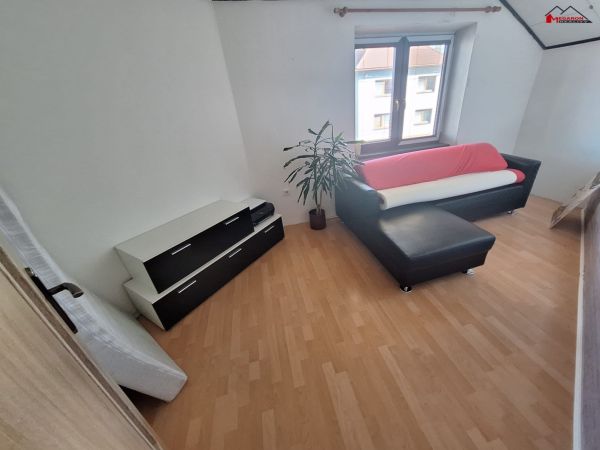 Rodinný dům 5+kk s garáží a zahradou, po část. rekonstrukci,  pozemek 316 m² #14